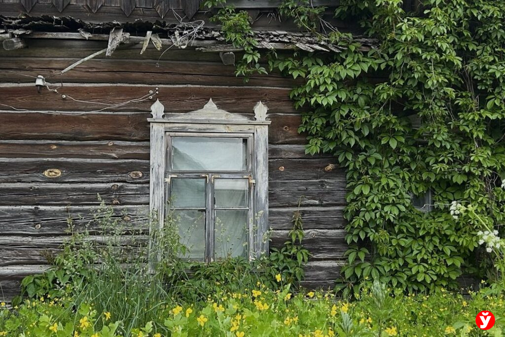Фото: Кристина Чабан, носит иллюстративный характер