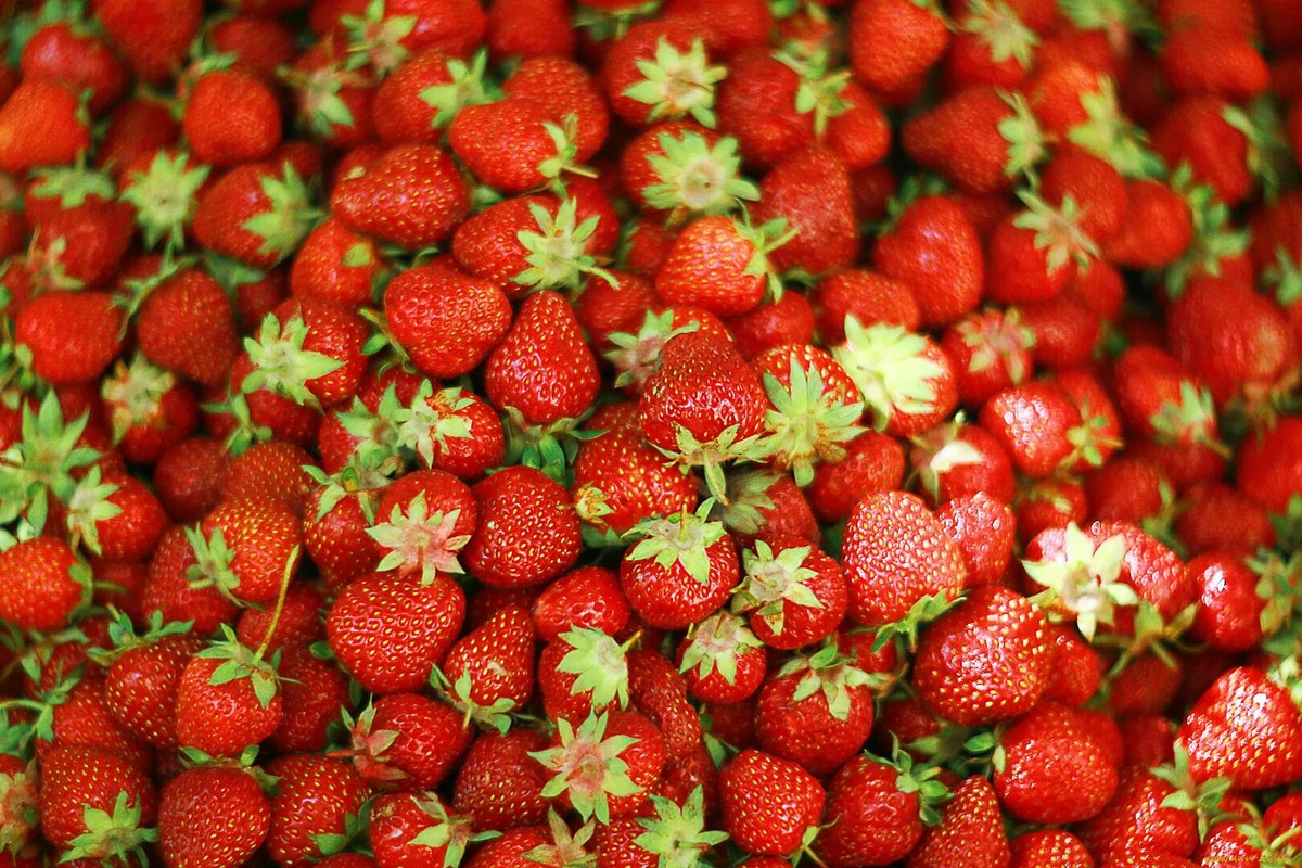 Картинка из интернета