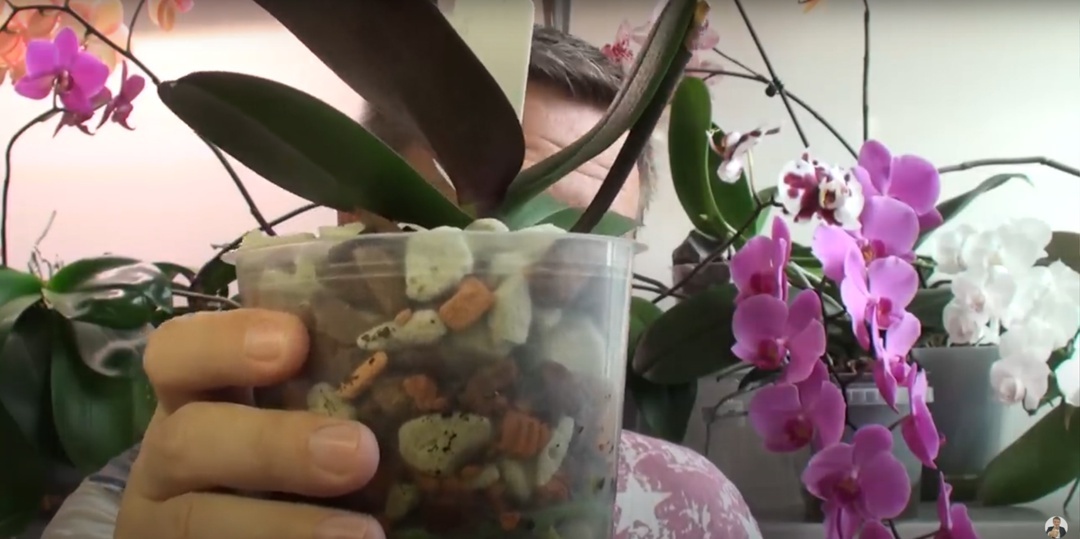 Создать карусель