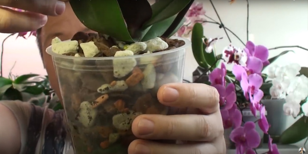 Создать карусель