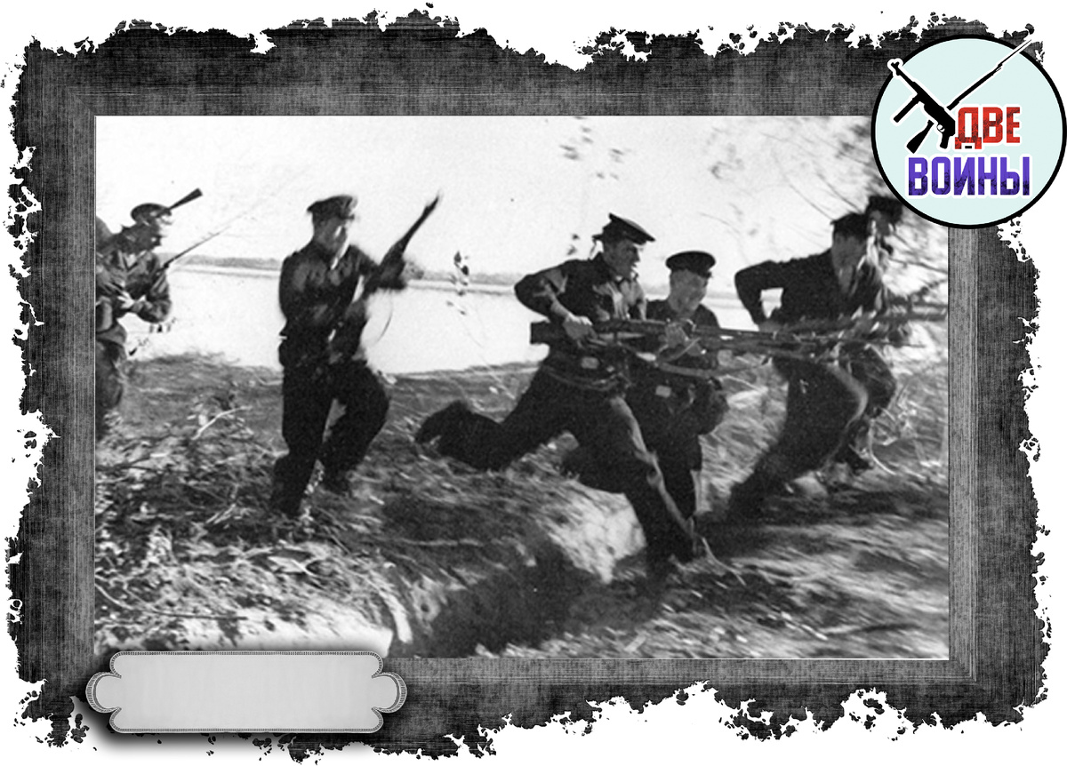 Фото в открытом доступе.