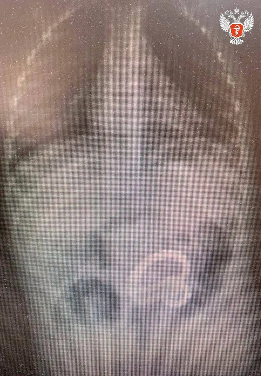    Фото: Минздрав Воронежской области