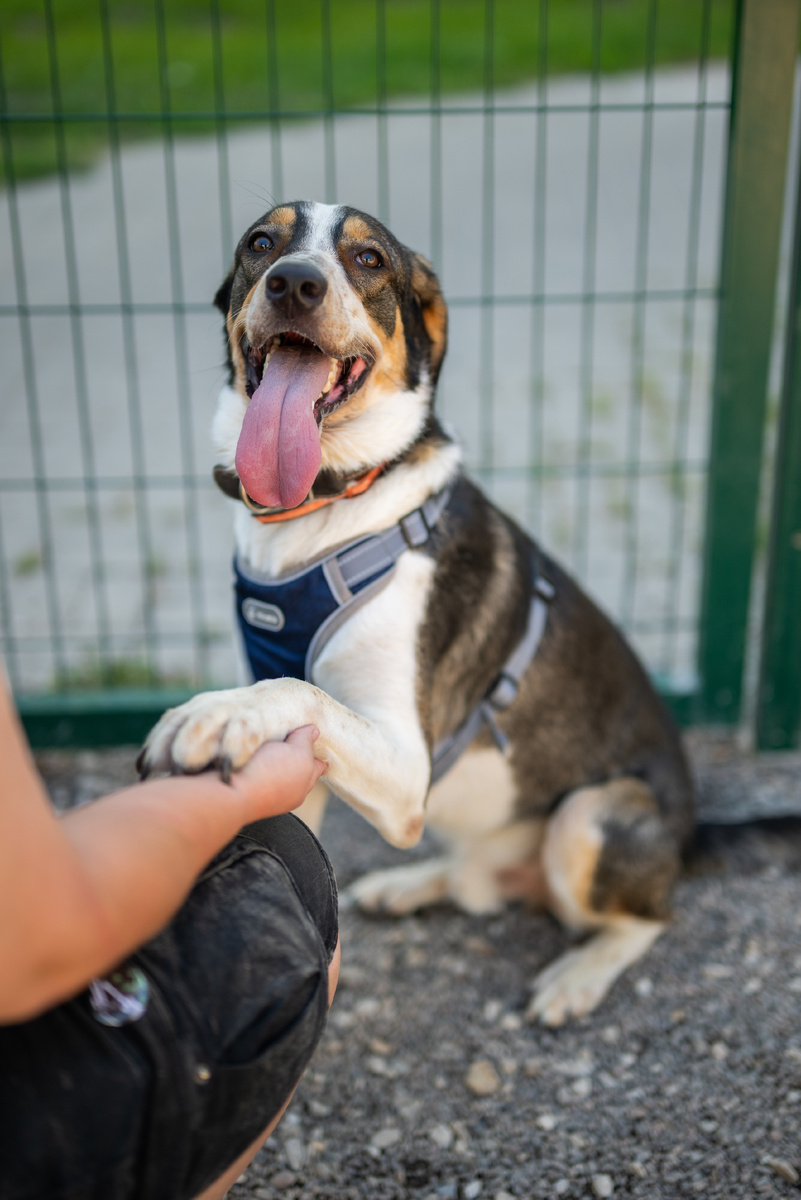 "Я очень послушный парень, сказали сделать красиво, вот вам - получите)"