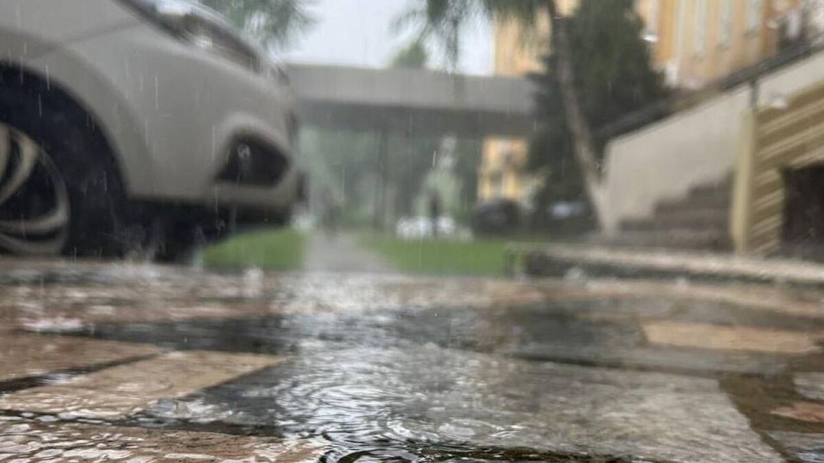    Фото: телеканал «Краснодар»