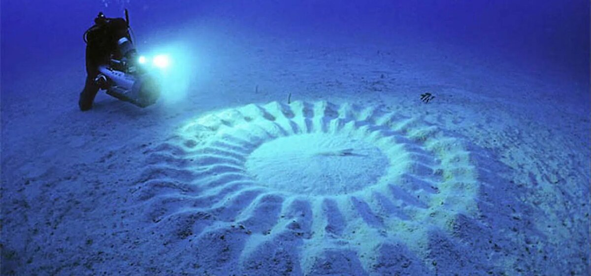 Подводные круги