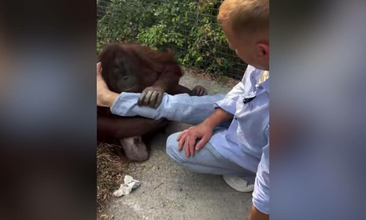    Фото t.me/olegzubkov68