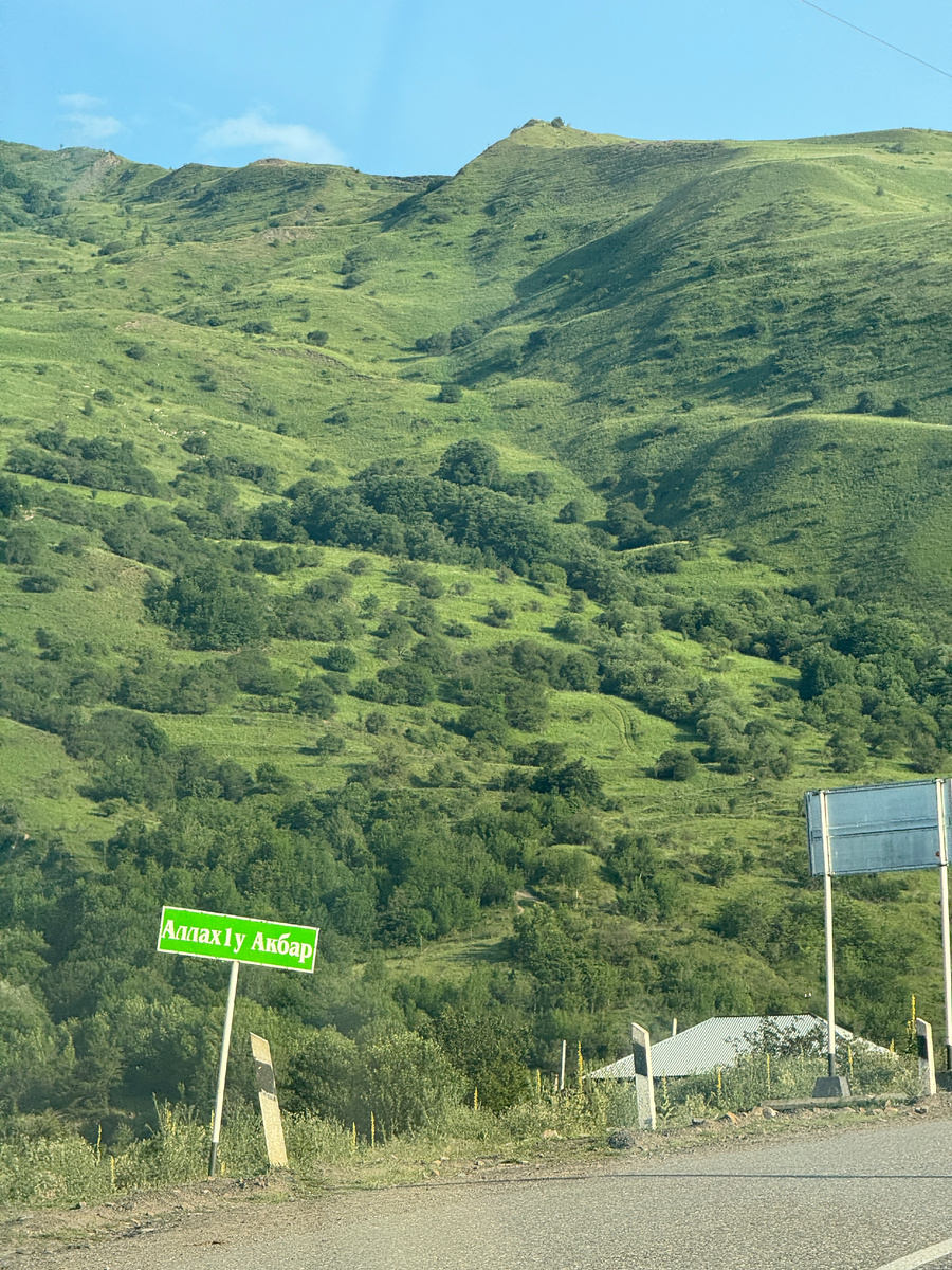 Дорожные кадры