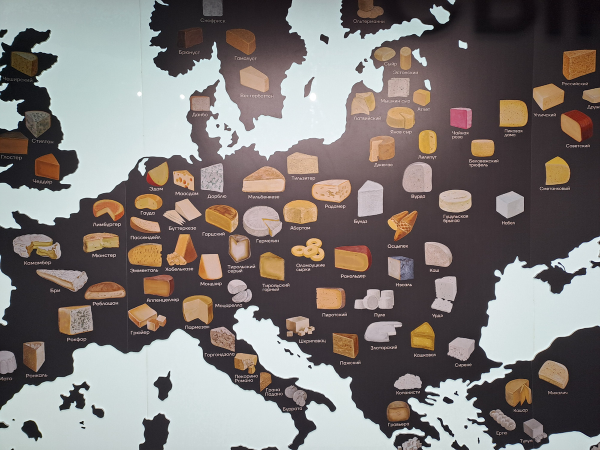 Сырная карта Европы. Музей "Сыркультпросвет", г. Углич