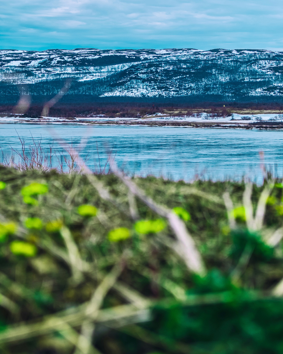 Автор: Алексей Моисеев / @partyzzzan