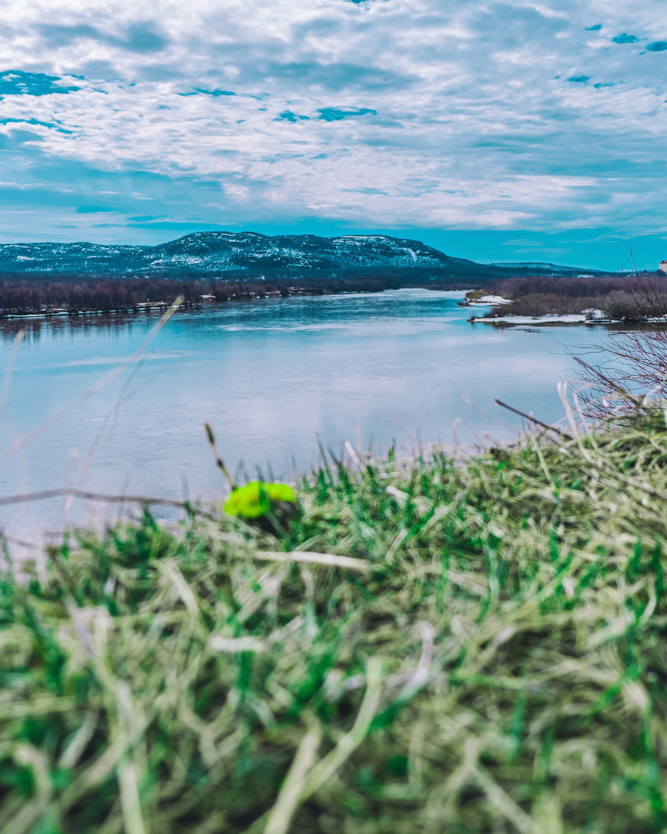 Автор: Алексей Моисеев / @partyzzzan