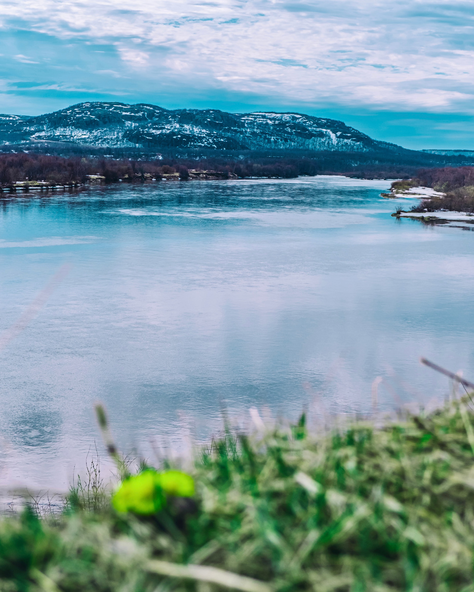 Автор: Алексей Моисеев / @partyzzzan