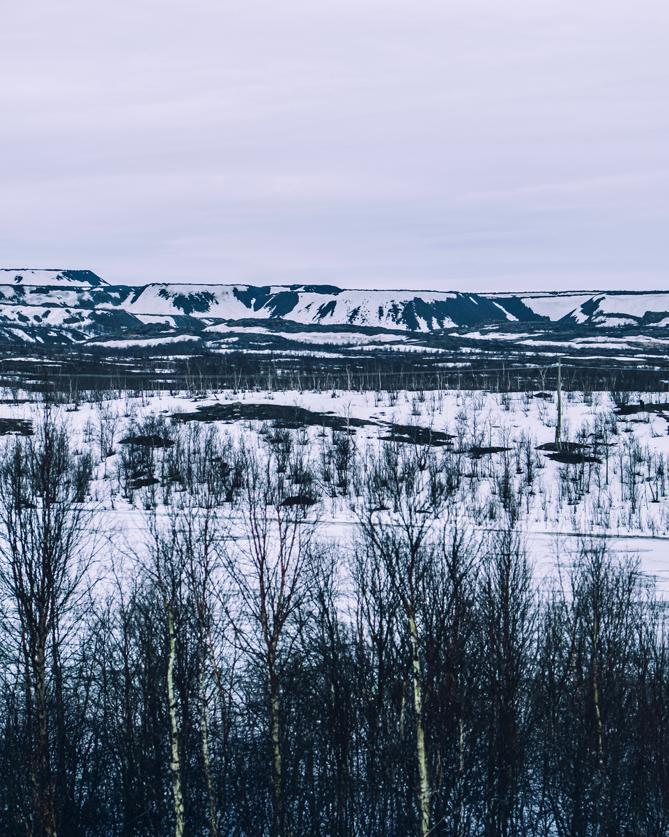 Автор: Алексей Моисеев / @partyzzzan