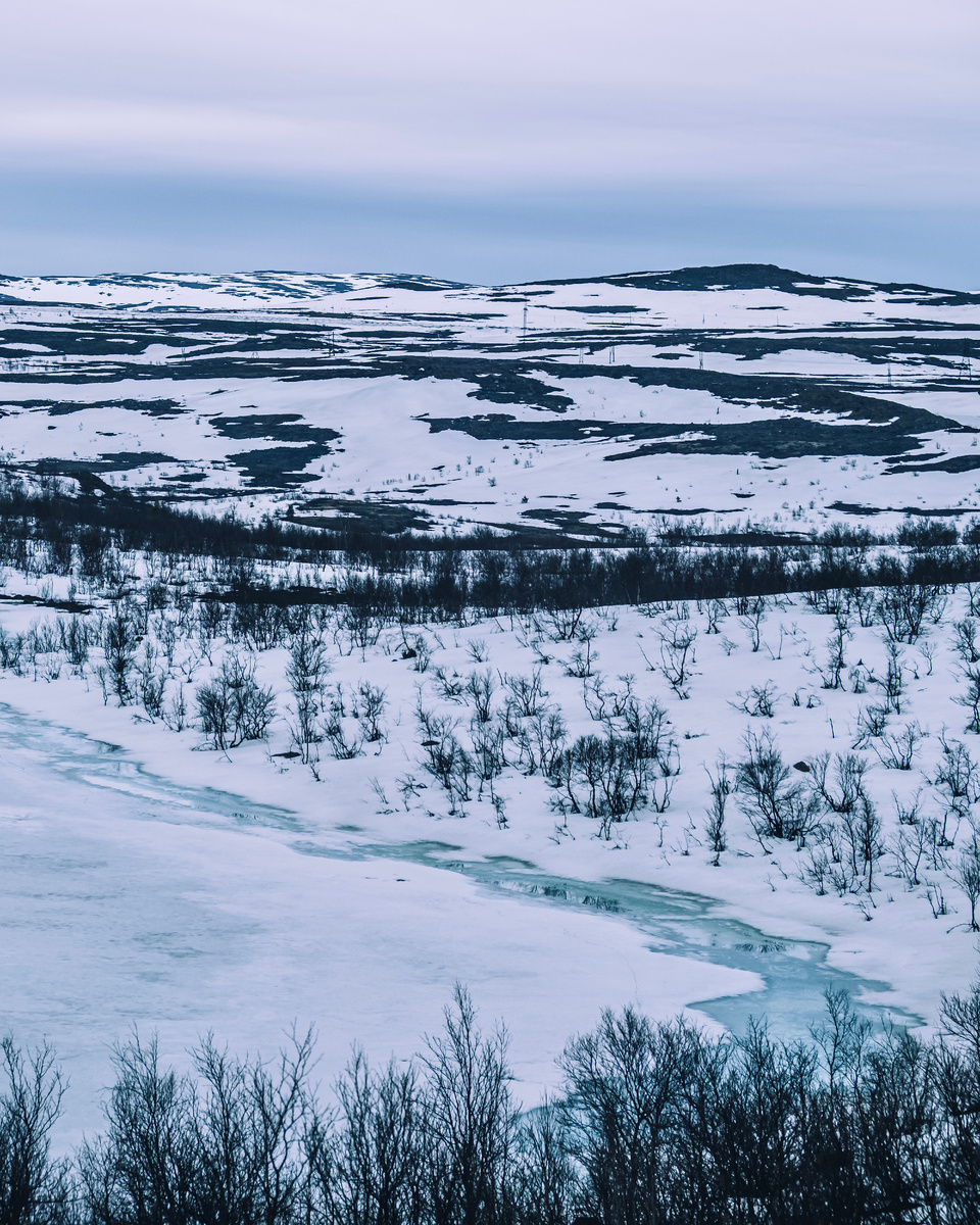 Автор: Алексей Моисеев / @partyzzzan