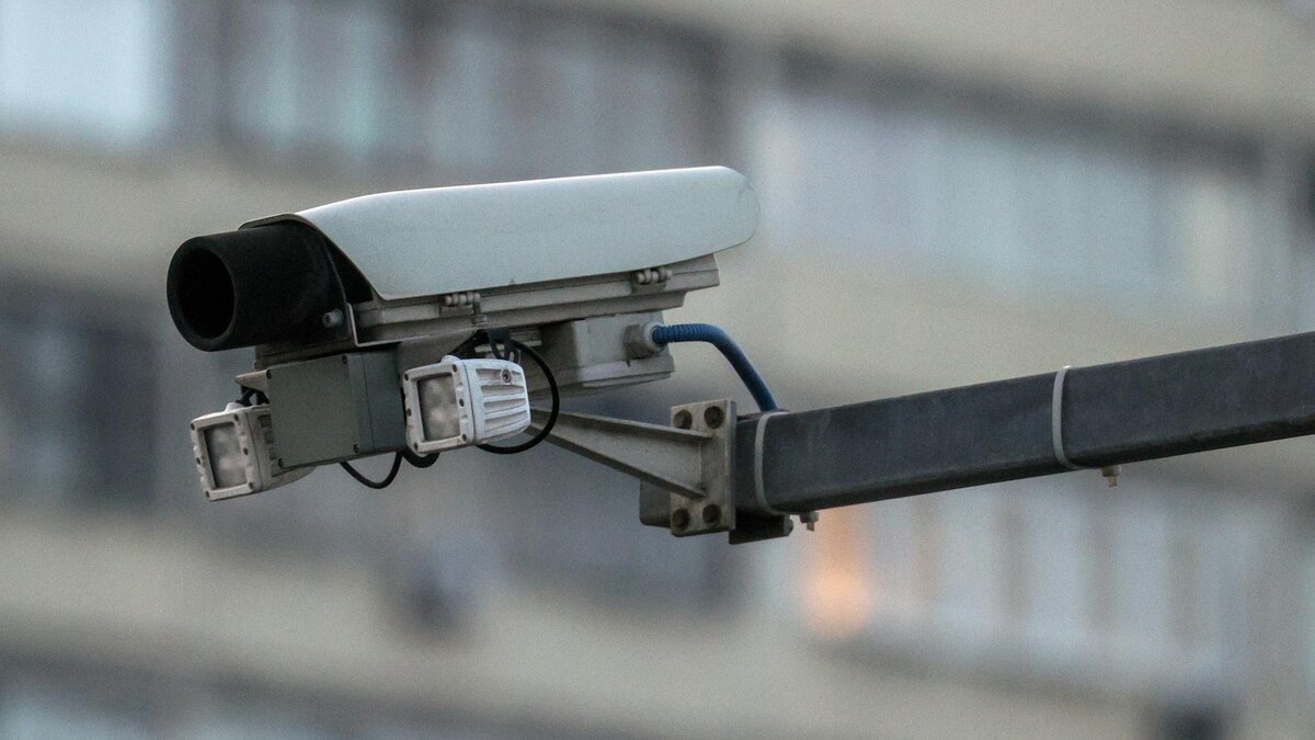    Фото: Bulkin Sergey/news.ru/globallookpress.com