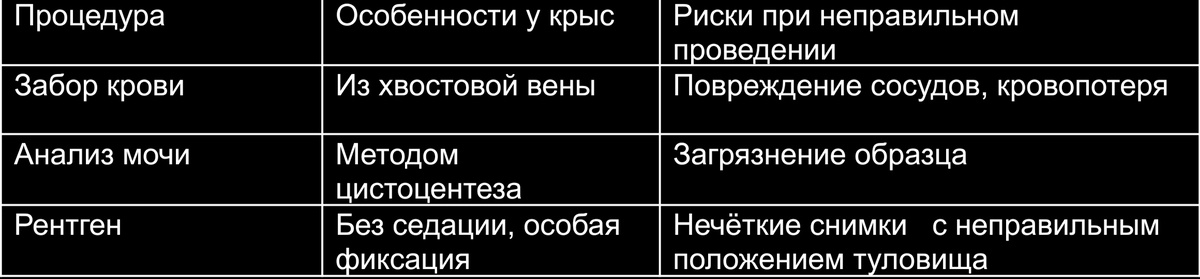 Особенности обследования крыс