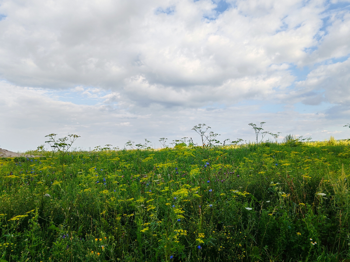 Фото автора канала. 