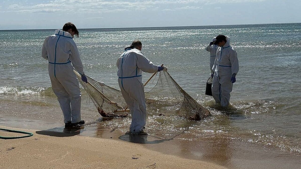    Фото: Оперштаб Краснодарского края.