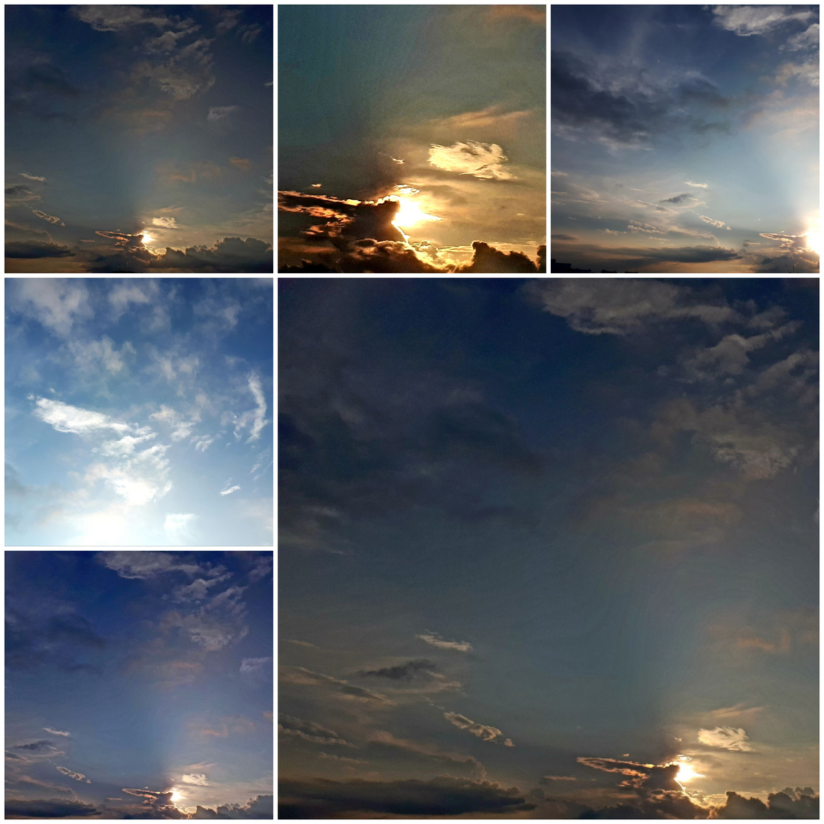 Коллаж автора 22.07.2025г.