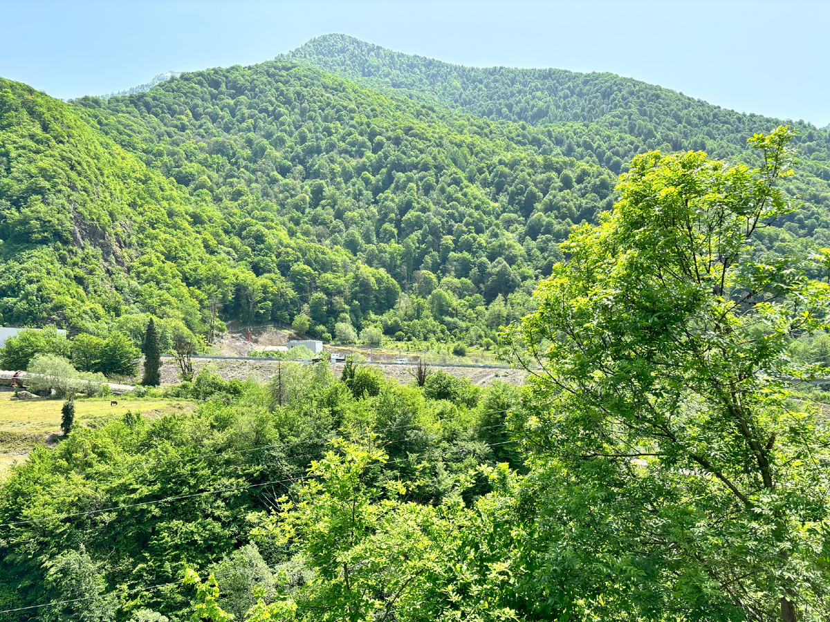 Вид на горы