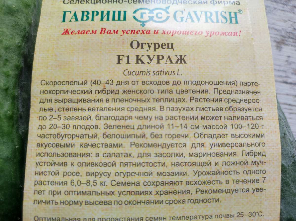 Фото автора, упаковка семян гибрида огурца Кураж, июль 2025 года