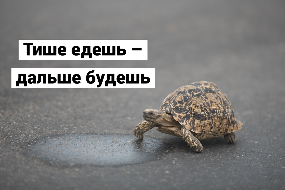 © wirestock / Freepik