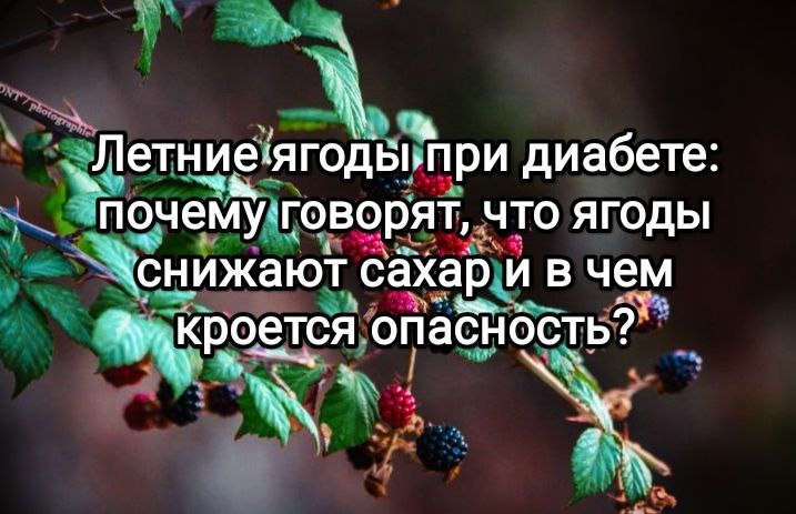 Летние ягоды при диабете: почему говорят, что какие-то ягоды снижают сахар? В чем опасность и какие ягоды считаются полезными?