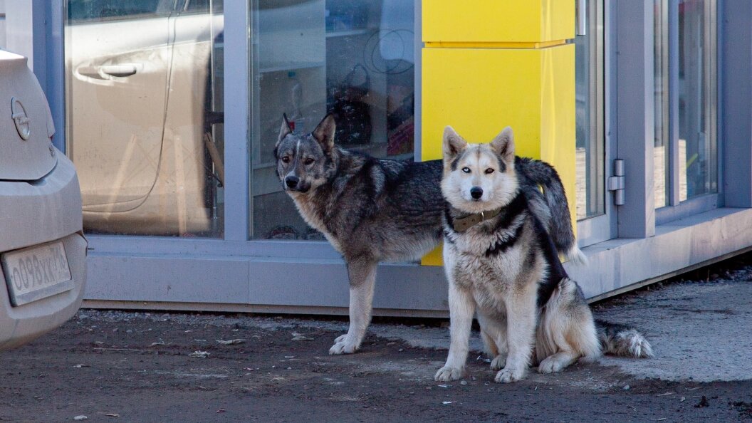    Oksana Korol/Globallookpress