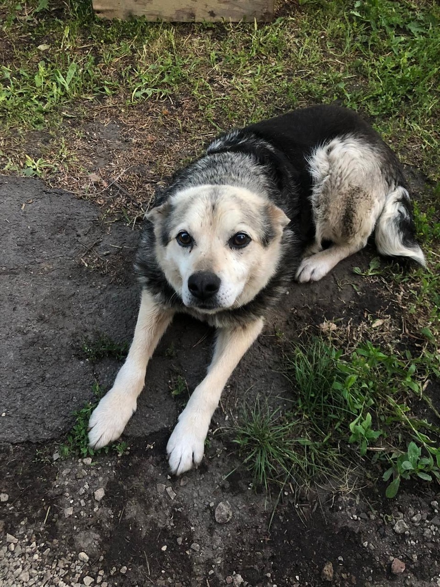 Мо-Мишка, теперь живет в г. Тамбове