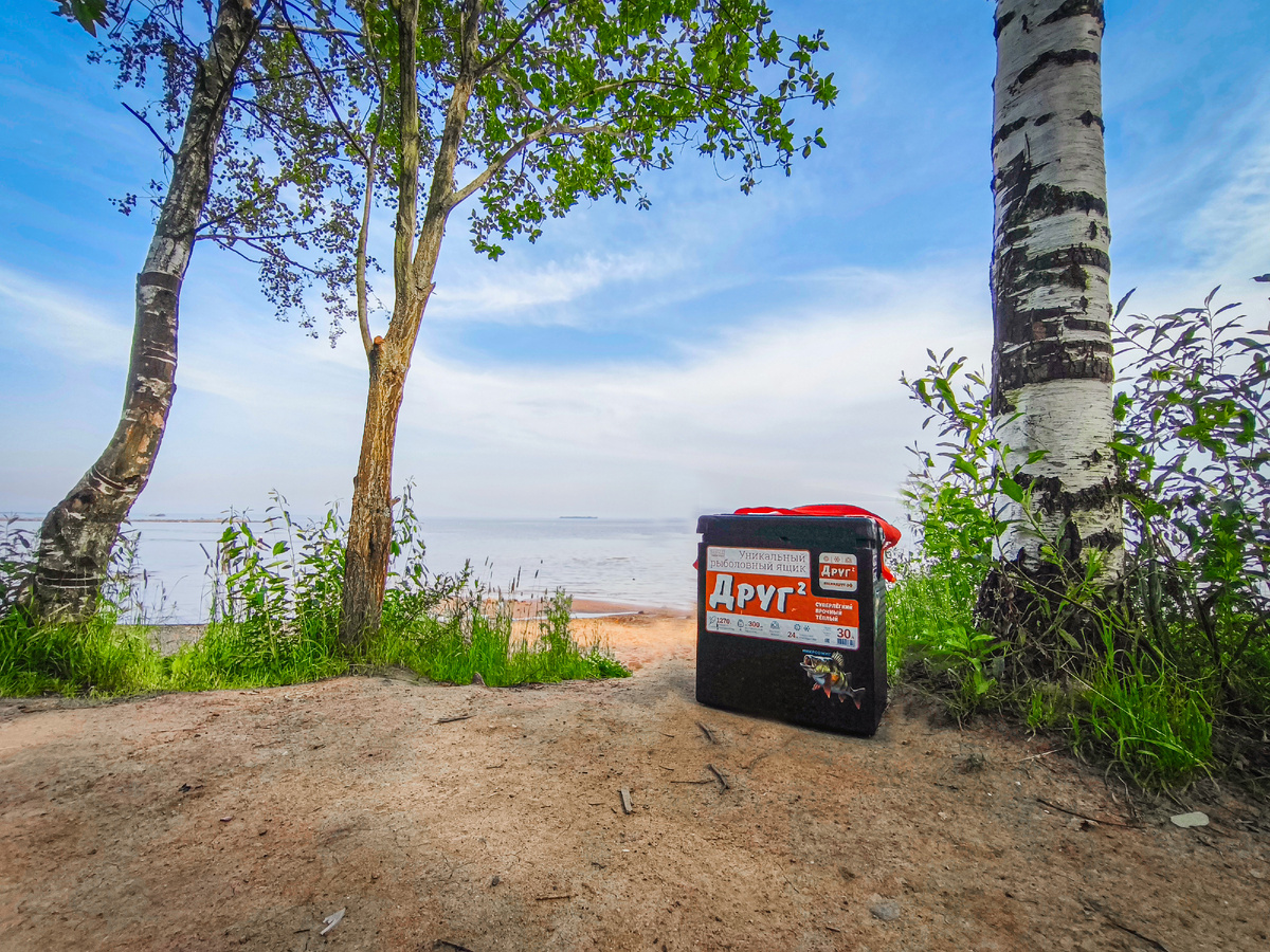 Фото: Константин Поселенов