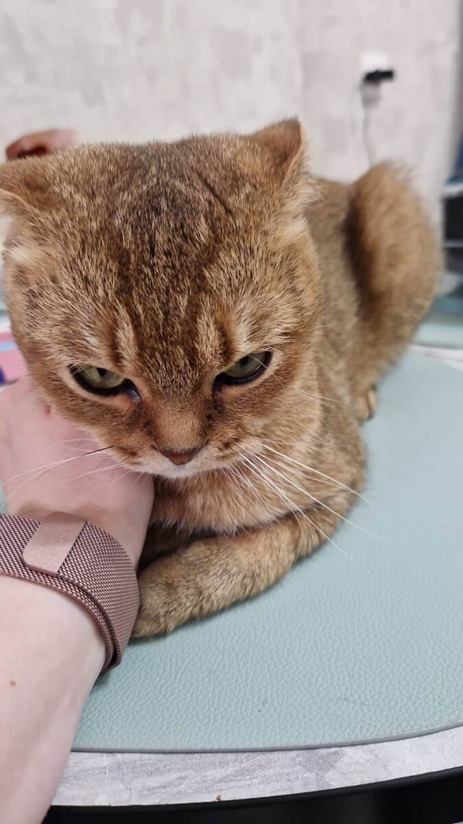 Из личного архива