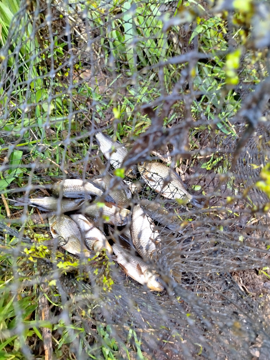 На пару сковородок хватит.