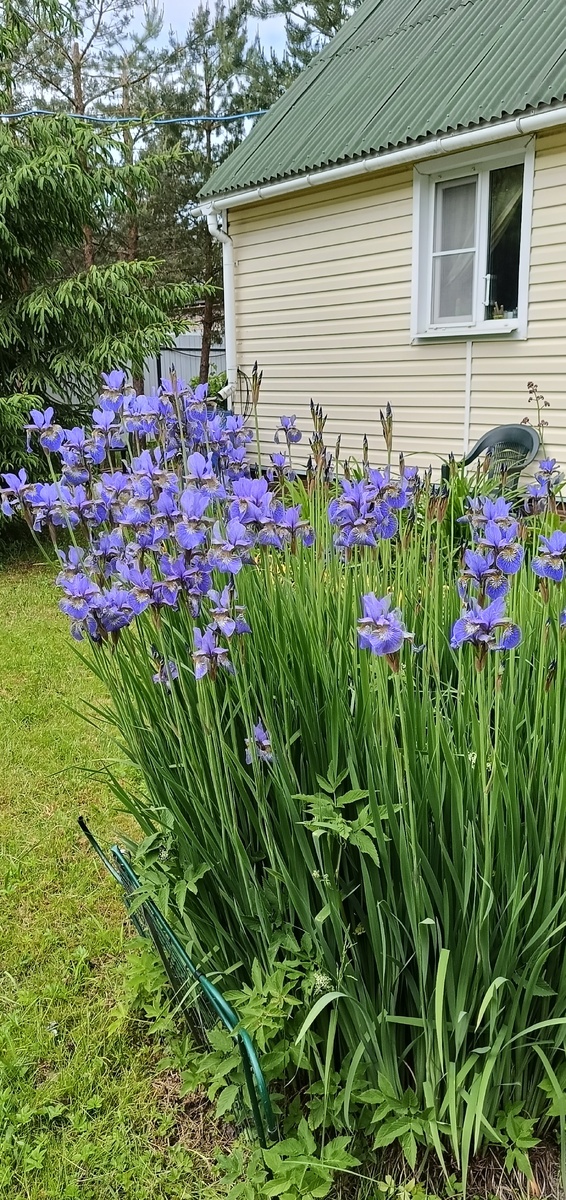 Незабываемые впечатления. 