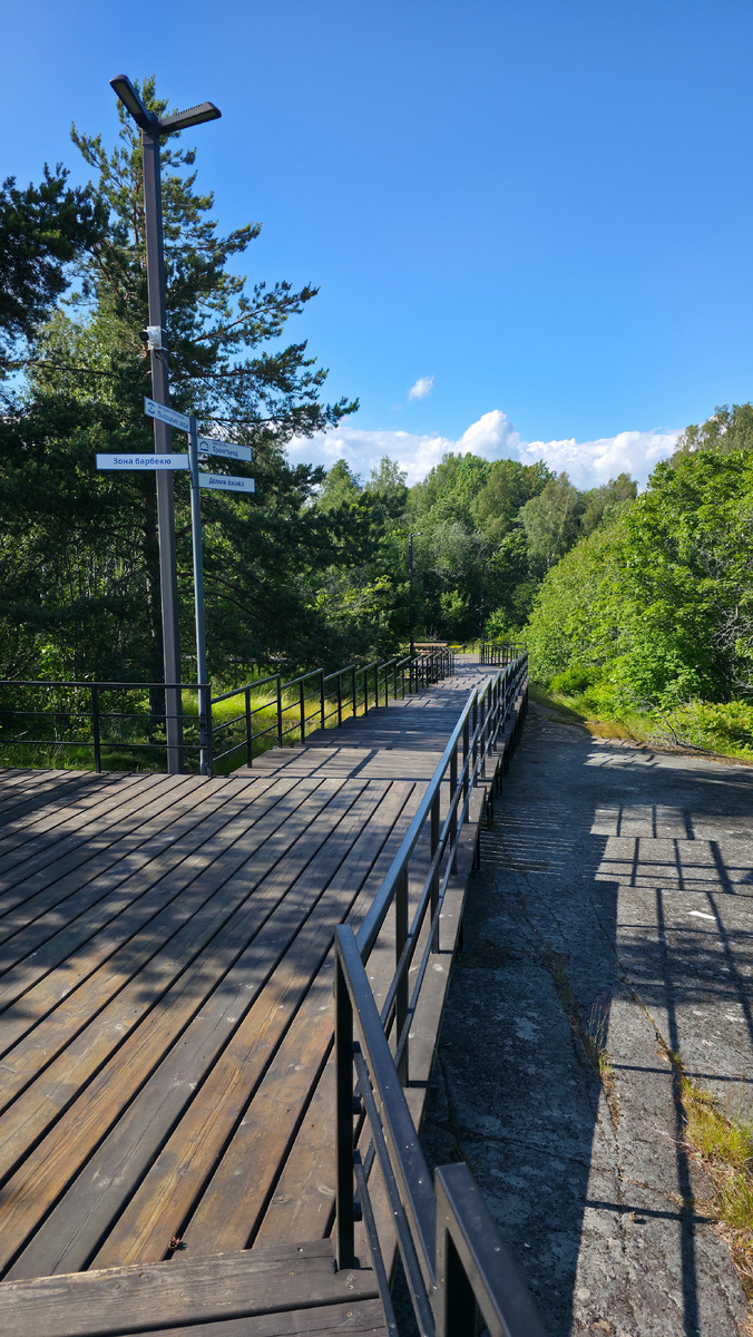Экологическая тропа "Высоцкие зори". Листай карусель дальше 