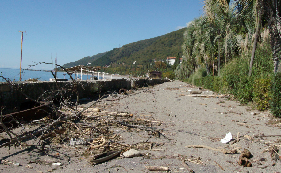 Фото: news.myseldon.com