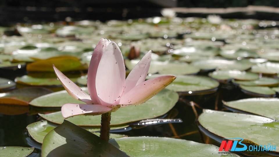   Фото: МТВ.ОНЛАЙН / архив