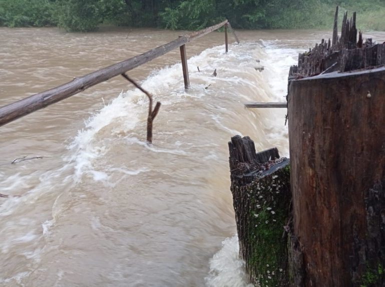    Фото: @primorskyru Екатерина Шахнина