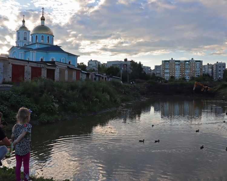     В Курске начали чистить озеро на Студенческой