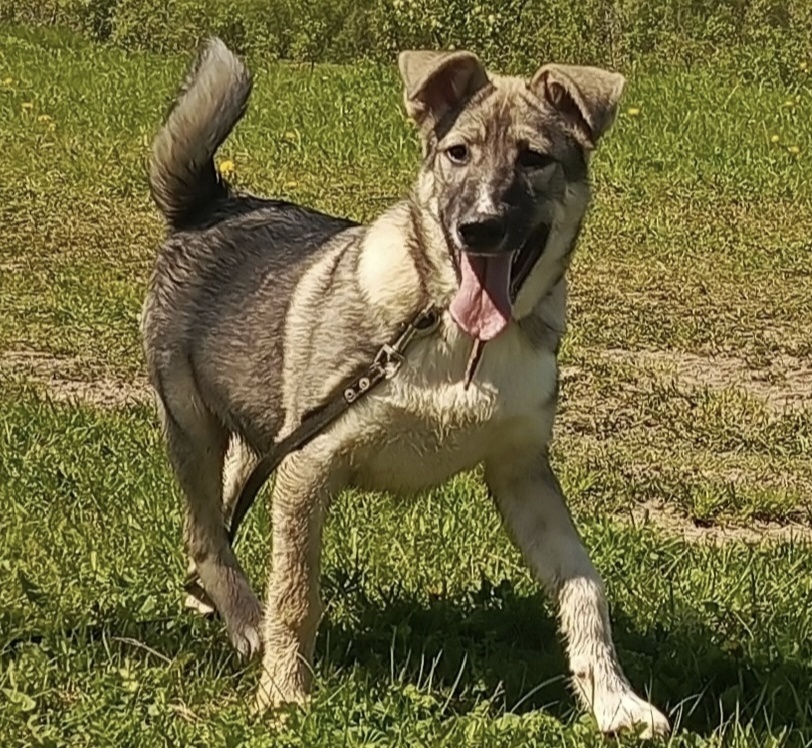 Сплошное очарование