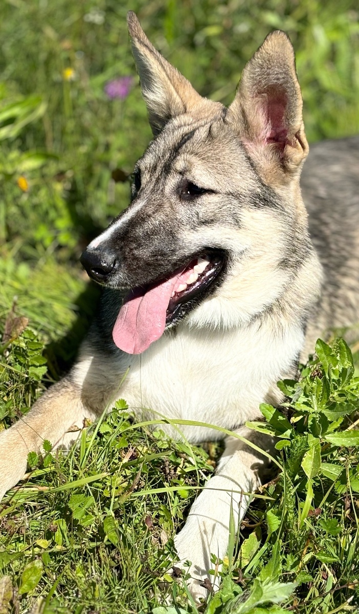 Такая красота пропадает.