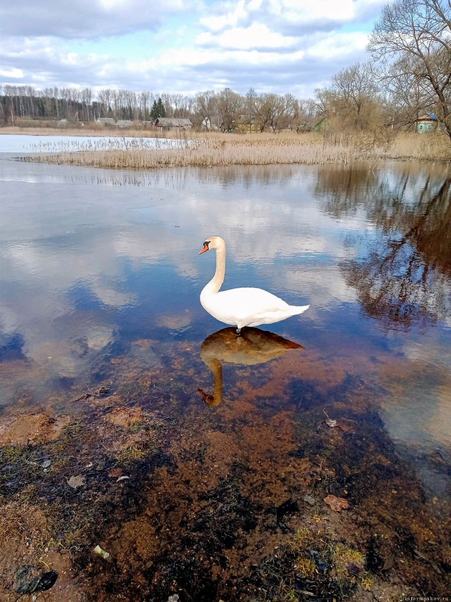 Фото читателя газеты «Призыв» Юрия
