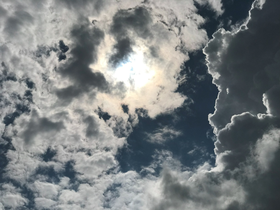 Фотография Якуцени С.П. ©