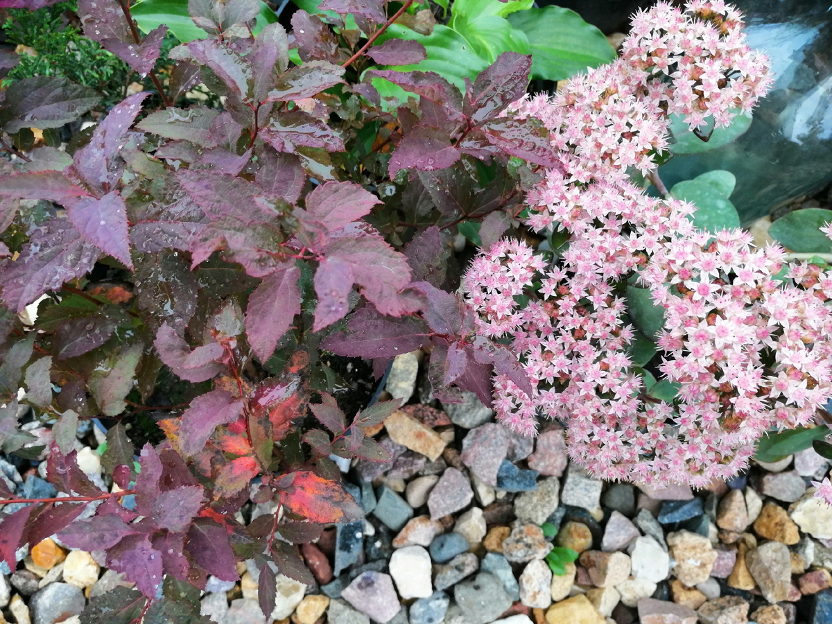 8 октября 2024 года. Хорошо же смотрятся рядом! 