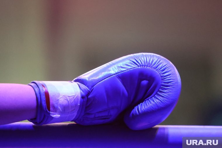    На Чемпионат России показать силу своего удара поедут три курганских спортсмена