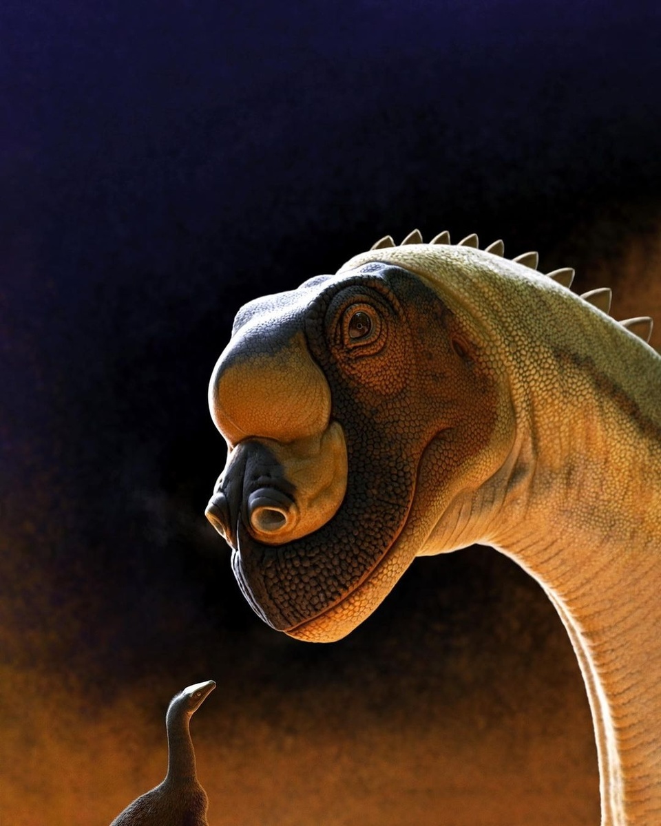 Буриолест (маленький слева) и жираффатитан (крупный справа). Первый является базальным хищным завроподоморфом, а другой крупным растительноядным гигантом.