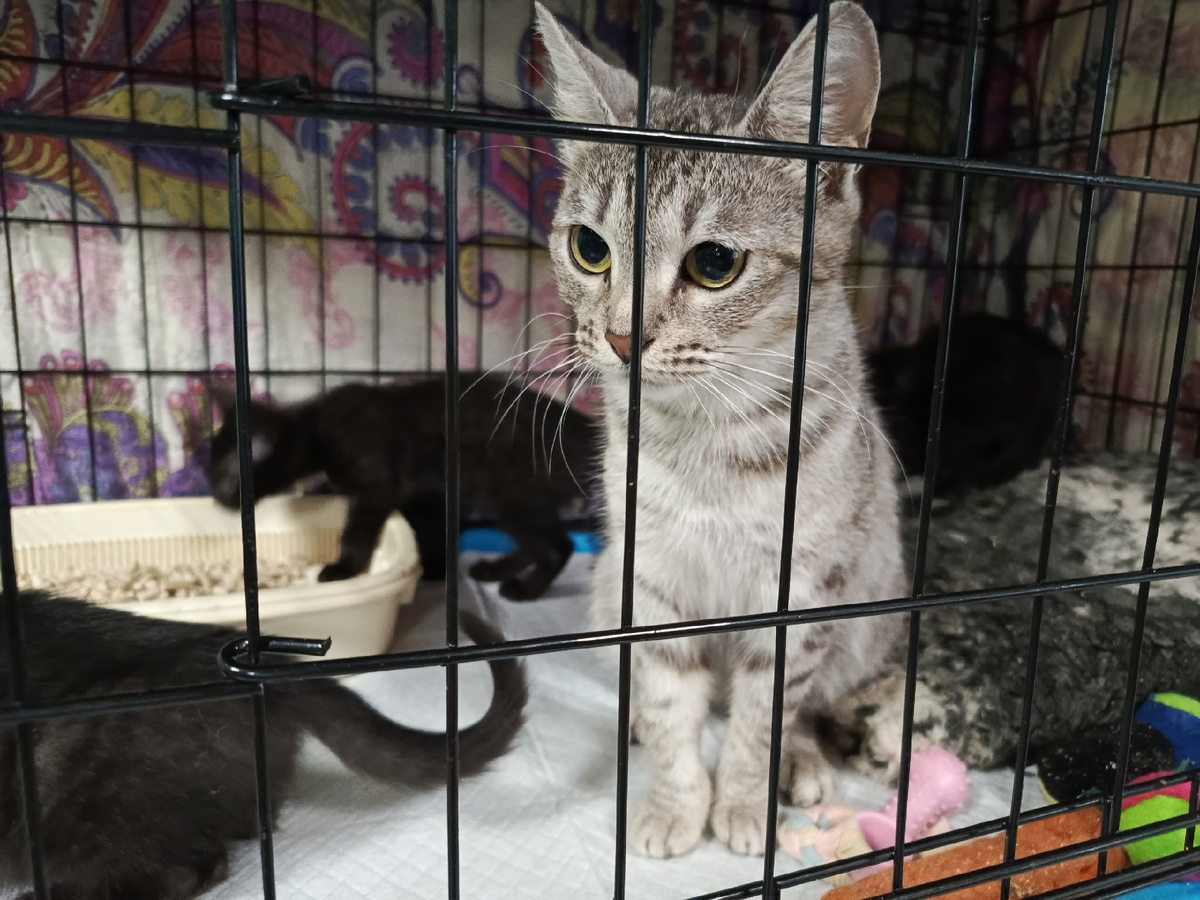 Очень заботливая мамочка, не смотря на свой юный возраст.