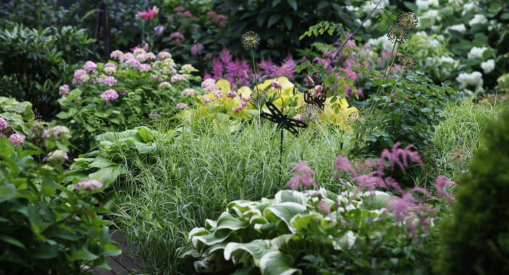 Сад 20 июля, часть 1