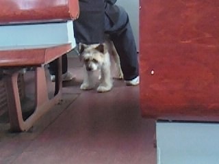 Как то так себя чувствуешь, куда меня везут?