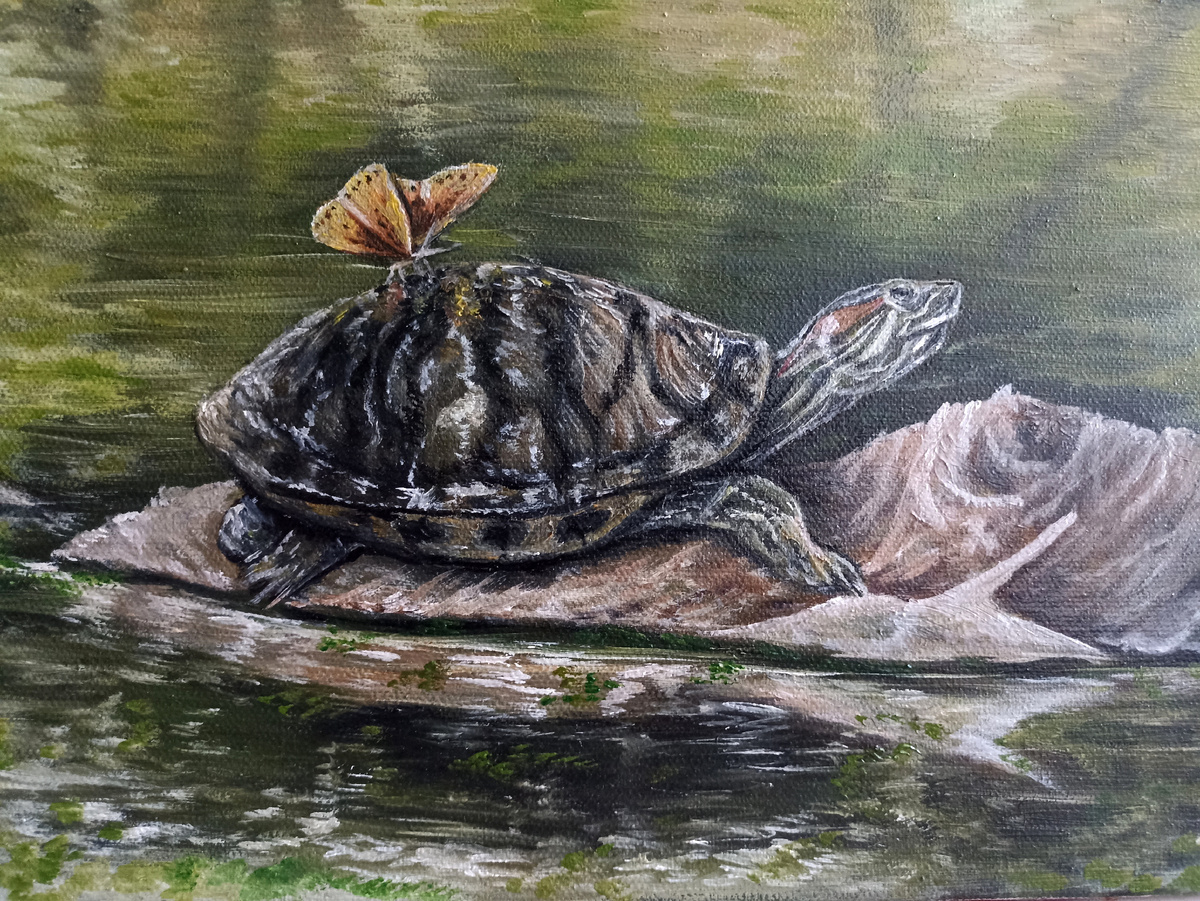 "Шустрик", Н. Швецова, масло/холст, 20*40см