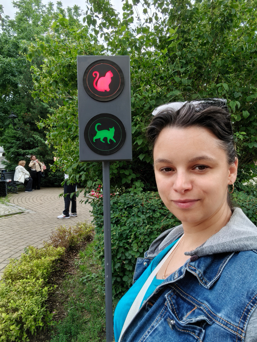 Всем здравствуйте 👋 Фото из Зеленоградска.