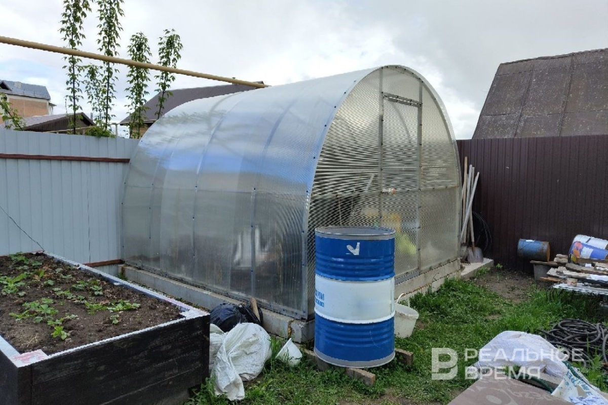   Реальное время / realnoevremya.ru